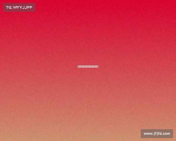 山东赢赛网络游戏服务有限公司